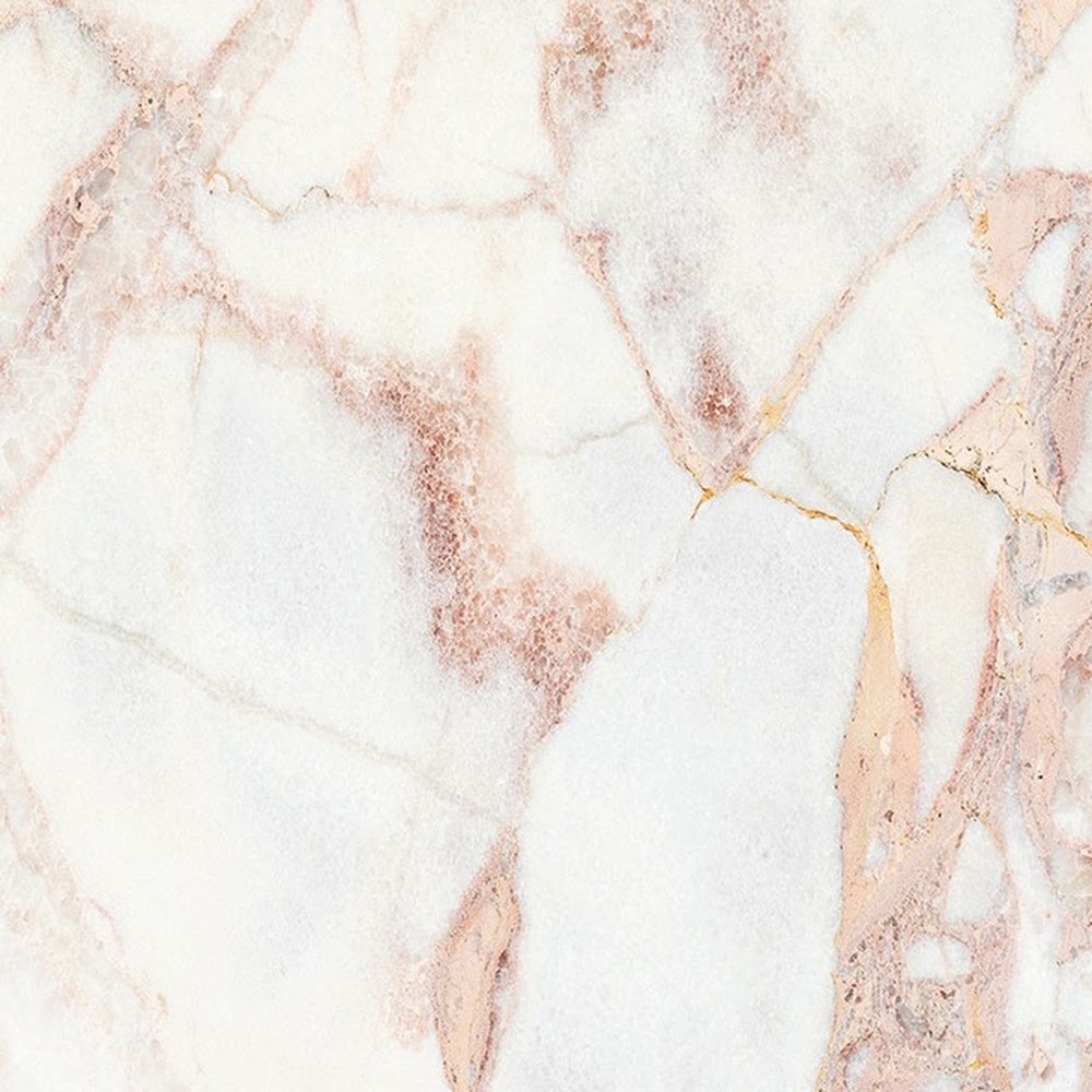 Meet your Posher, Ellis